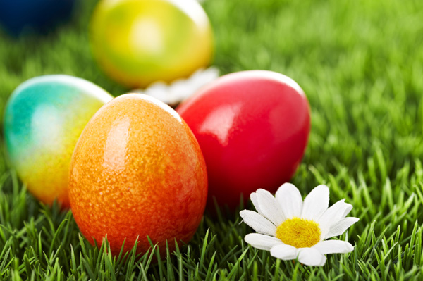 Easter Egg Hunt