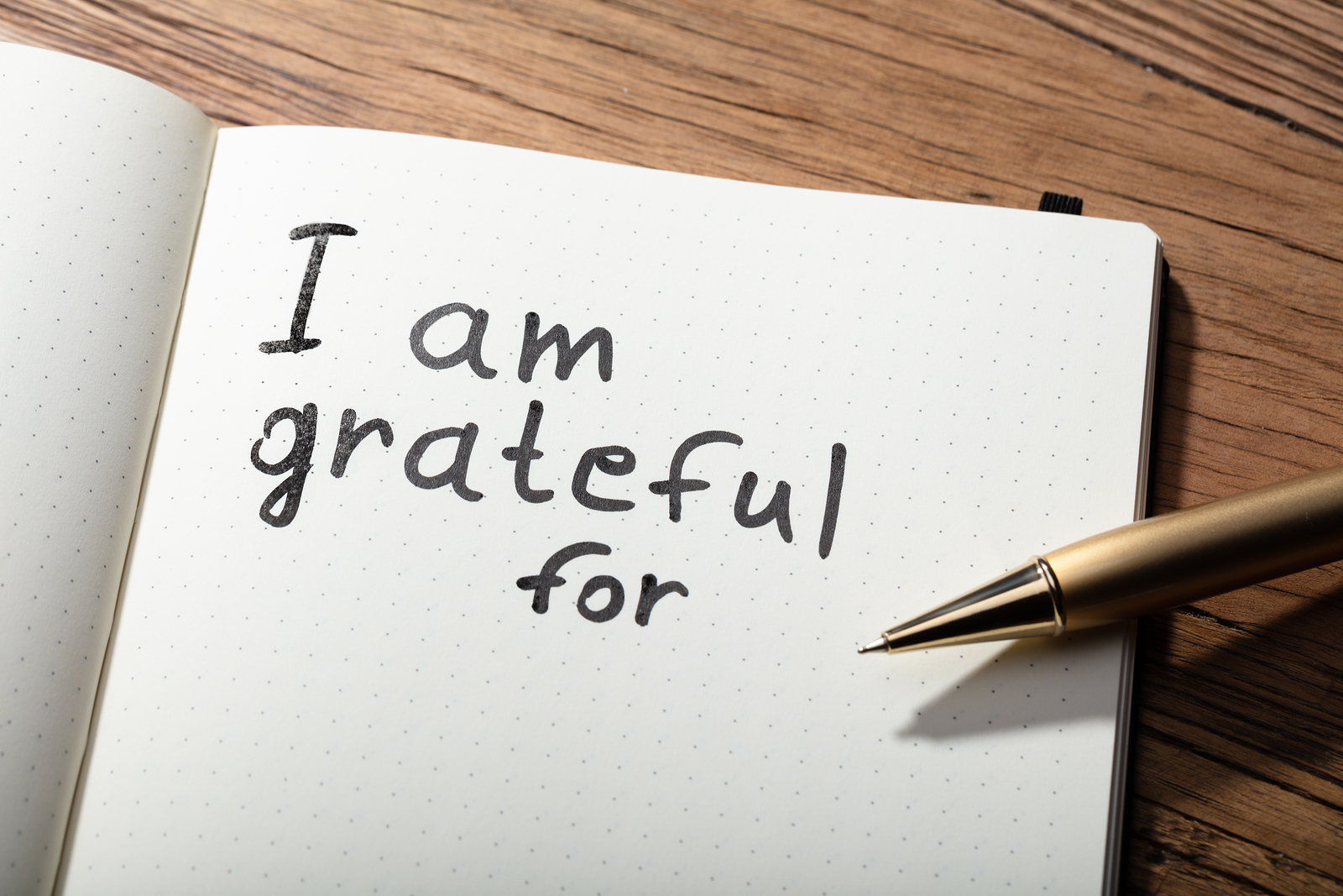 Gratitude: Discipling Your Mind