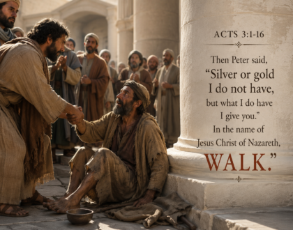 Kingdom Opportunities
